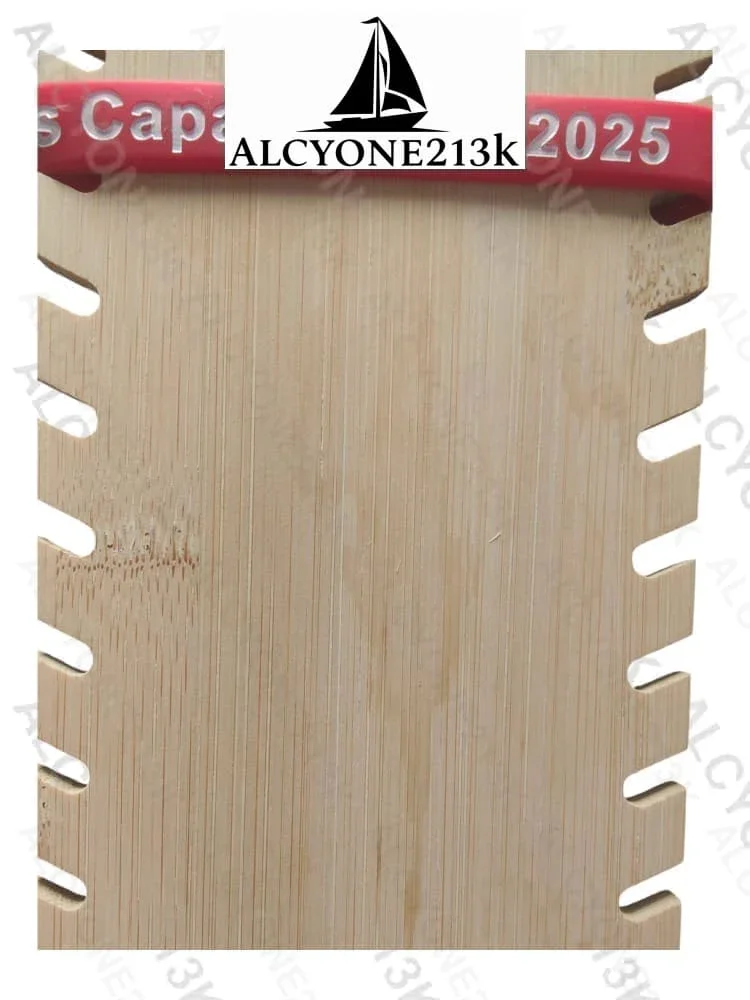 Lewis Capaldi Mystery Bracelets Pack of 10 | Colorful Alphabet Beads