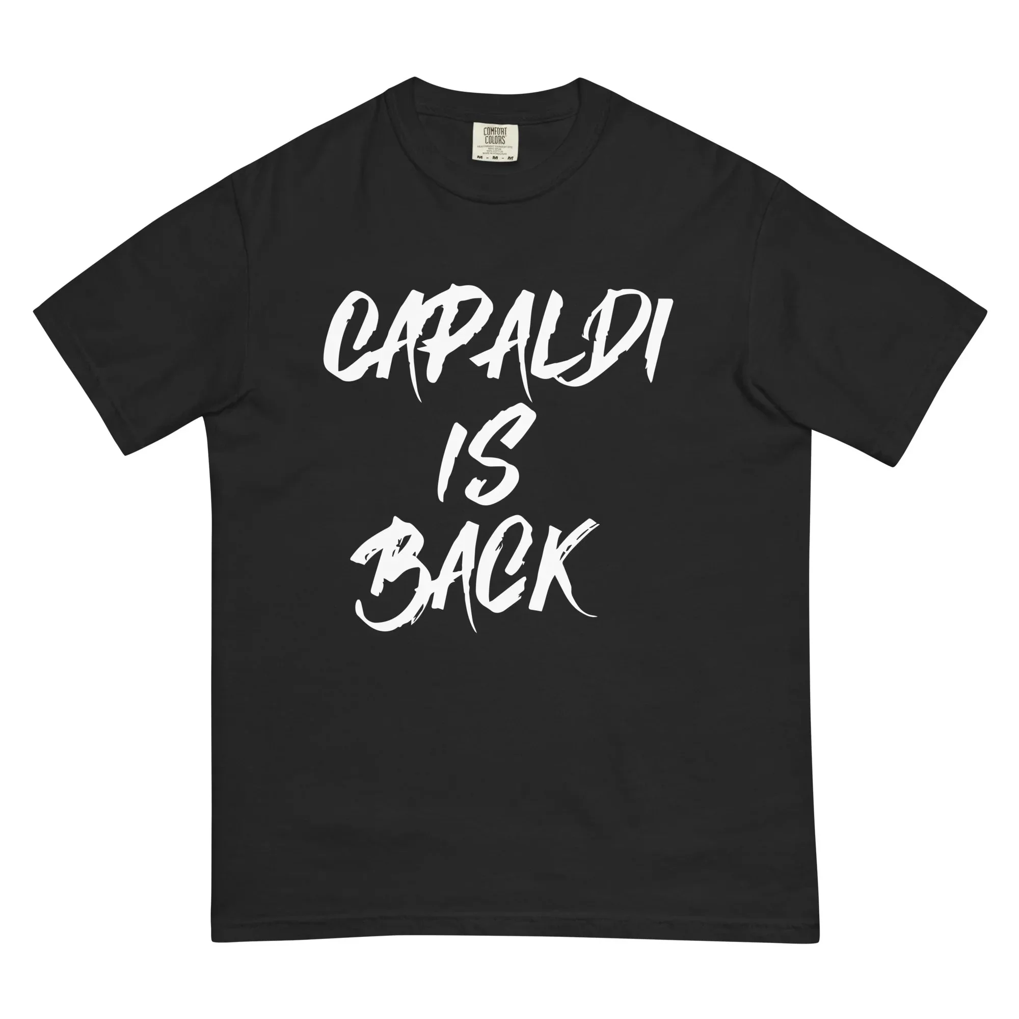 Lewis Capaldi T-Shirt | 