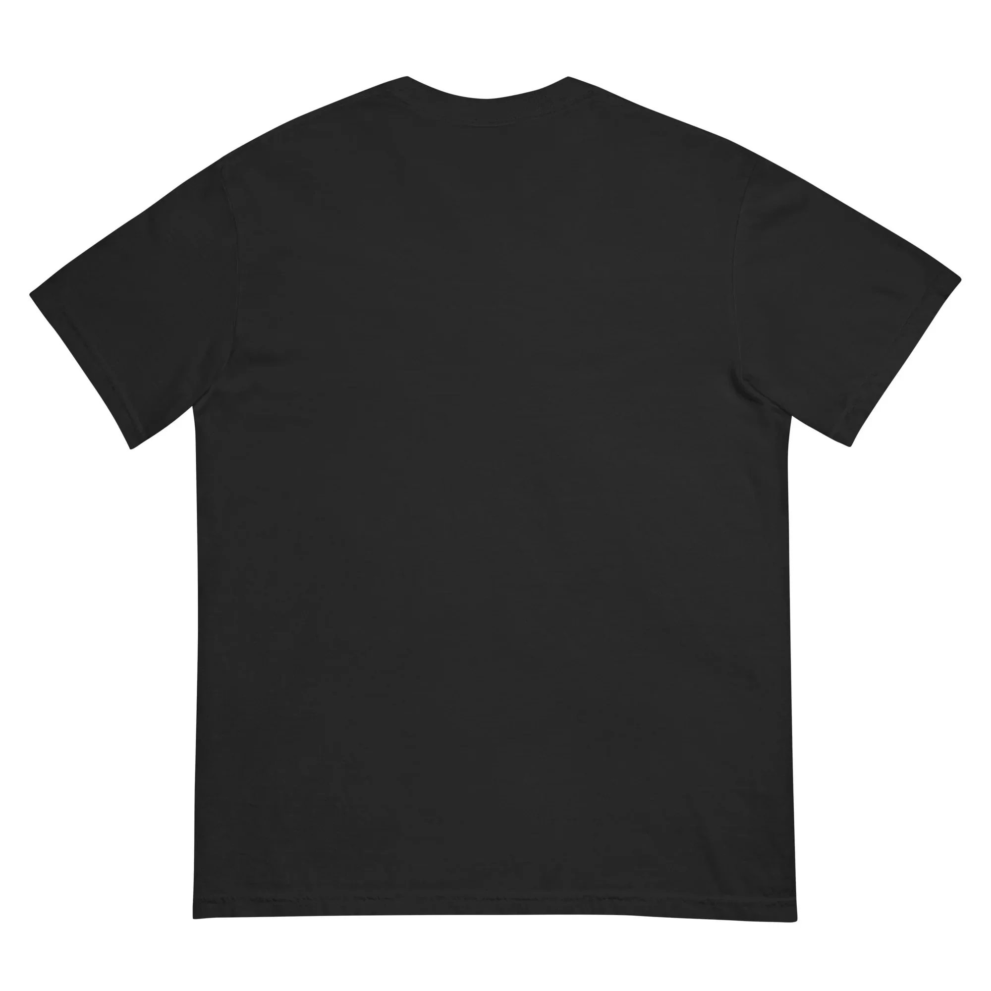 Lewis Capaldi T-Shirt | 
