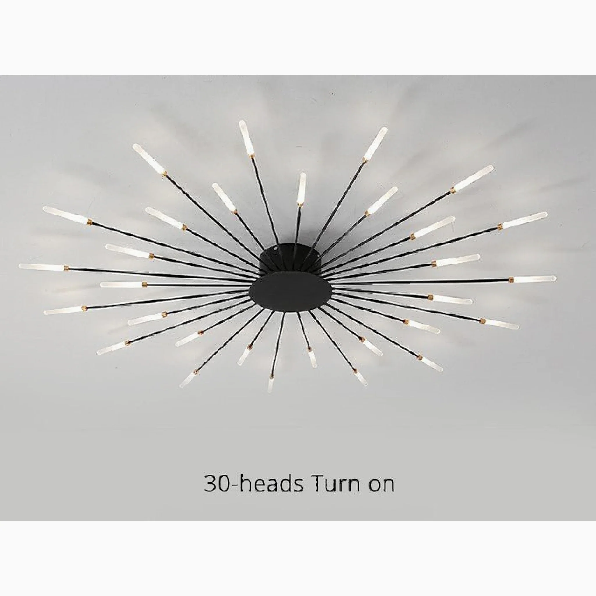 Brugg | Modern LED Dandelion Ceiling Light