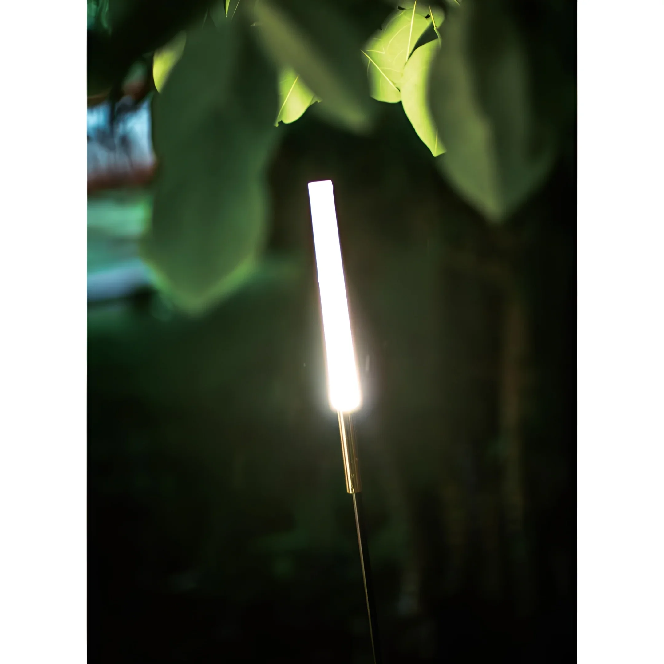 Bulrush-Inspired LED Garden Light �C Minimalist Path Accent for Modern Landscapes