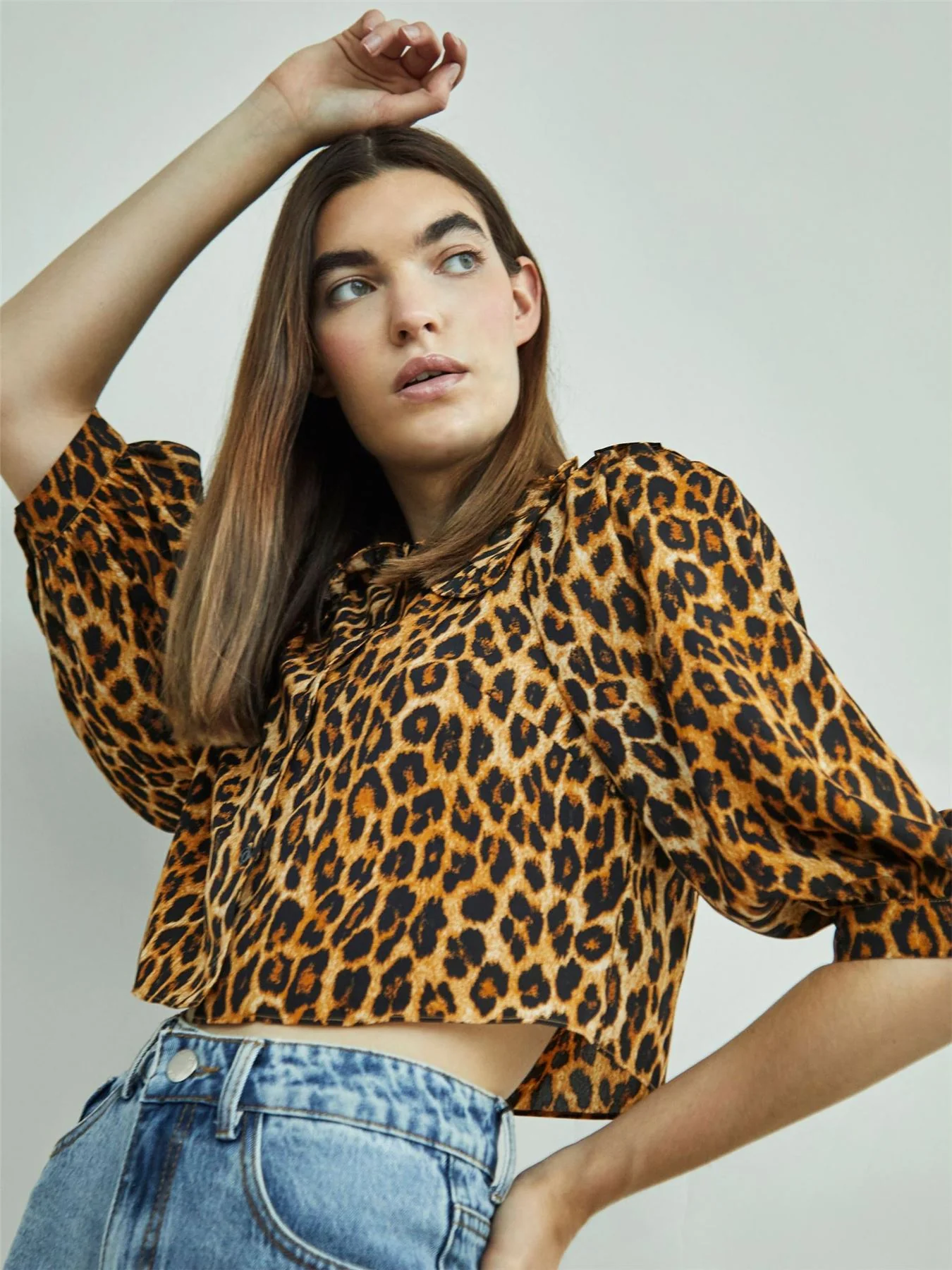 Leopard Print Long Sleeve High Neck Crop Top